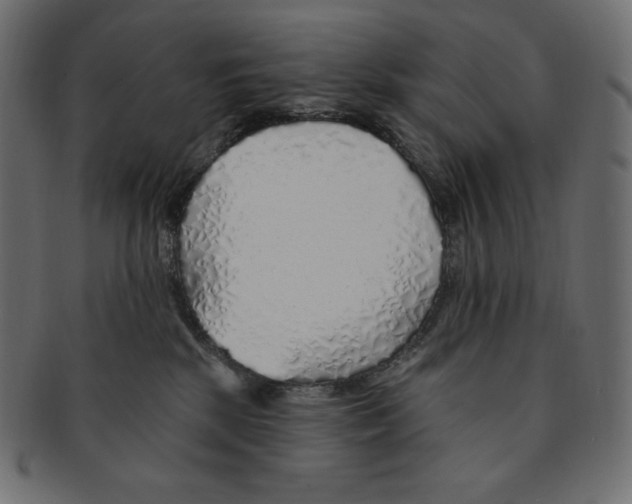 X0000091370281200709071333