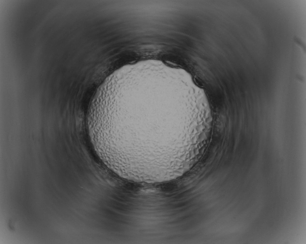 X0000091370283200709071333