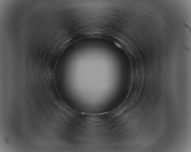 X0000091370284200709071333