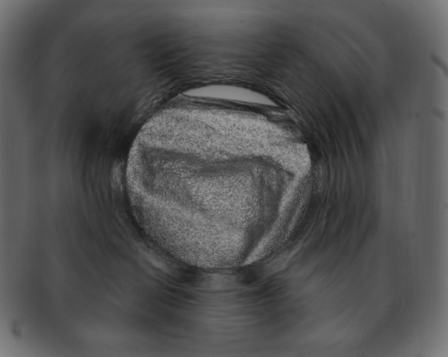 X0000091370286200709071333