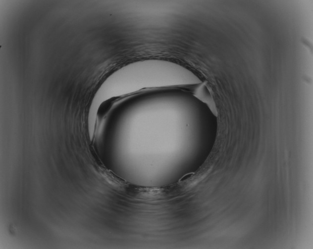 X0000091370288200709071333