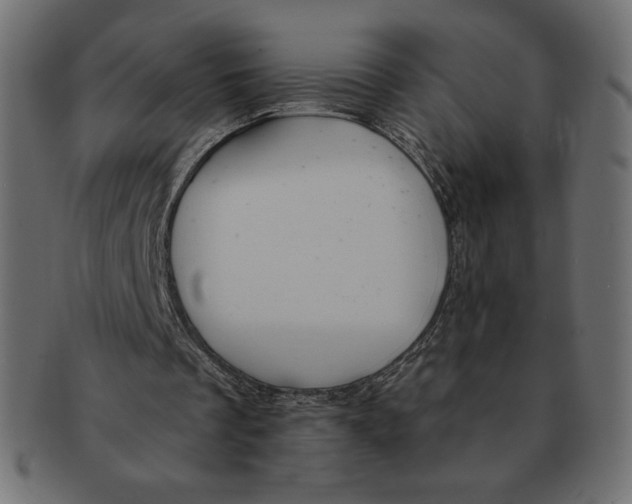 X0000091370289200709071332