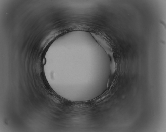 X0000091370291200709071332