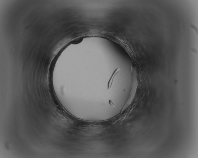 X0000091370292200709071332