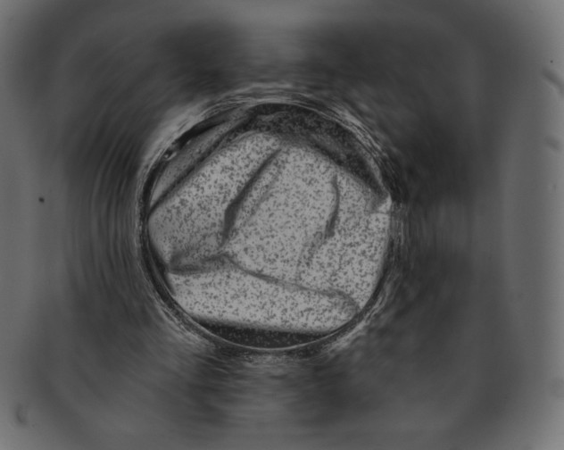 X0000091370293200709071332