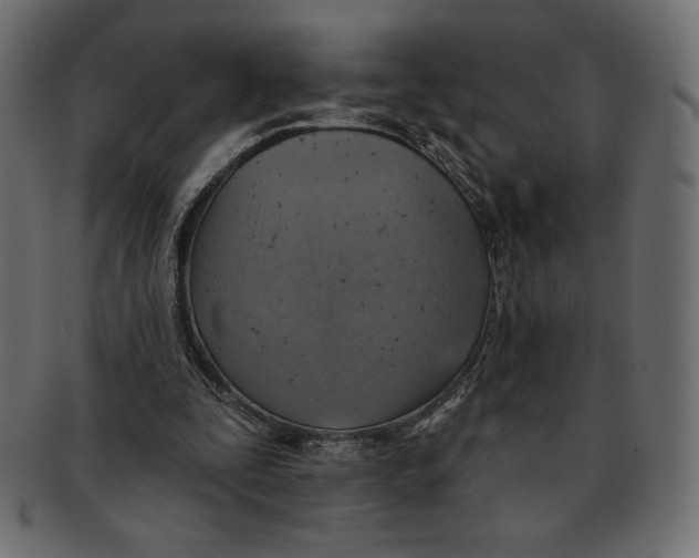 X0000091370295200709071332