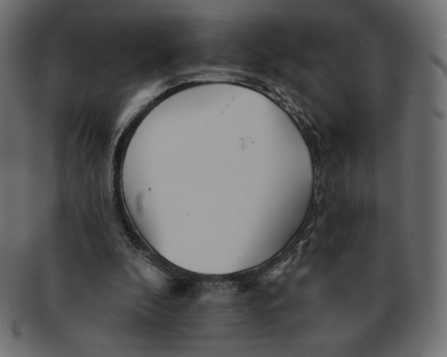 X0000091370296200709071332