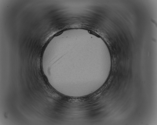 X0000091370297200709071332