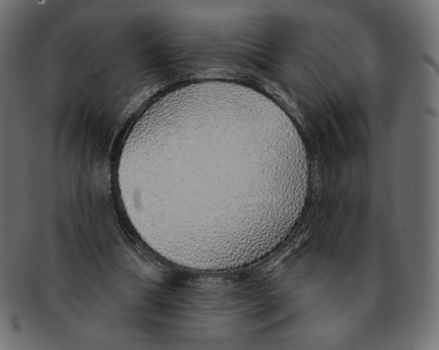 X0000091370298200709071332