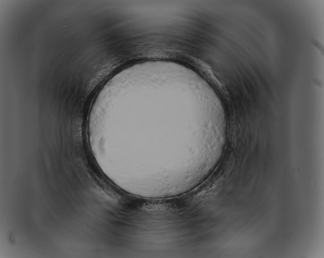 X0000091370299200709071332