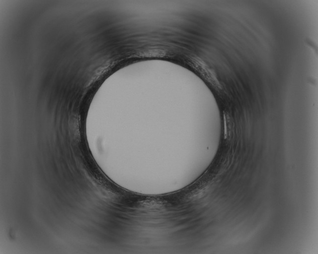 X0000091370300200709071332