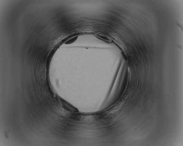 X0000091370301200709071332