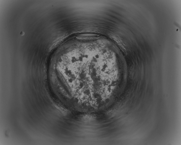 X0000091370303200709071332