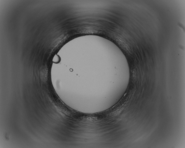 X0000091370304200709071332