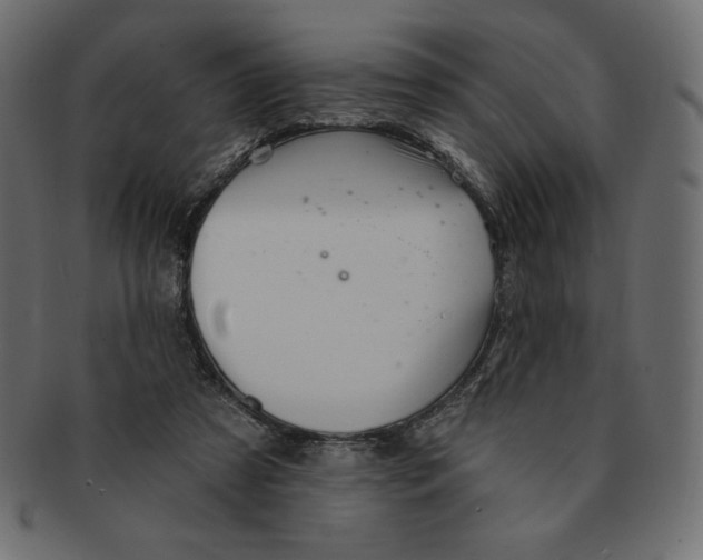 X0000091370305200709071332