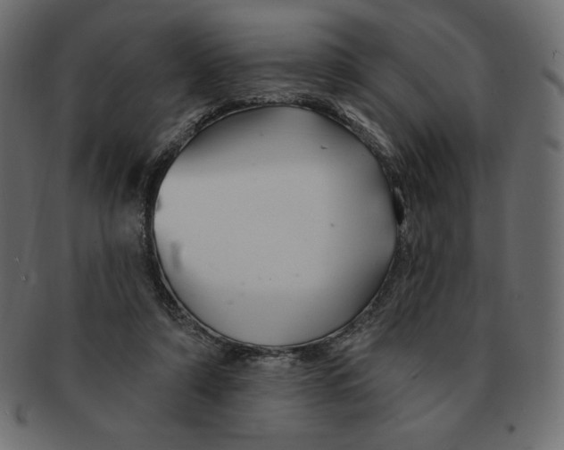 X0000091370306200709071332