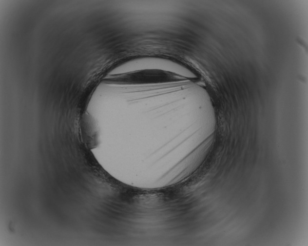 X0000091370307200709071332