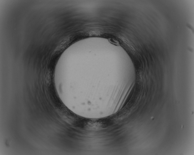 X0000091370311200709071332