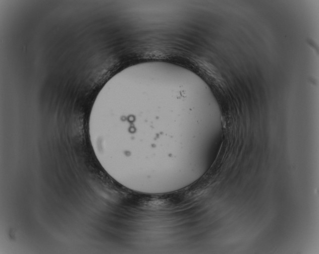 X0000091370312200709071332