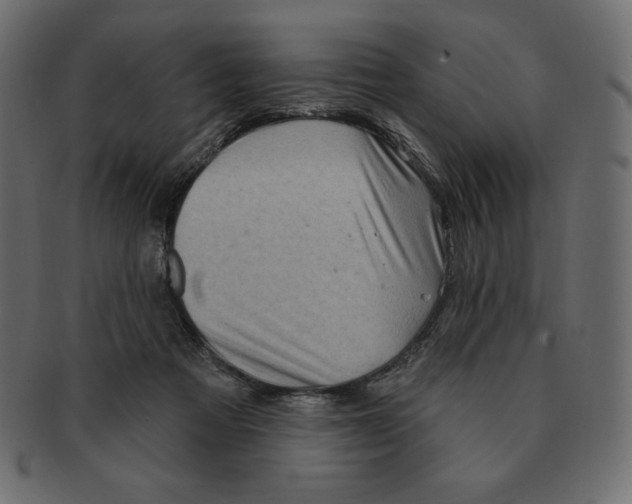 X0000091370313200709071332