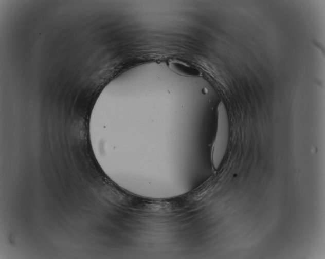 X0000091370317200709071332