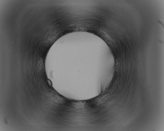 X0000091370318200709071332