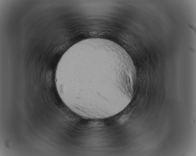 X0000091370319200709071332