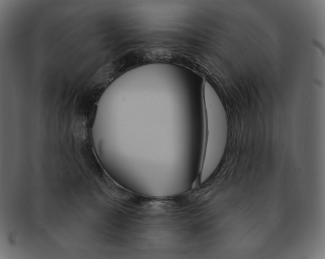 X0000091370323200709071332