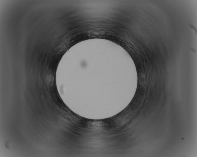 X0000091370324200709071332