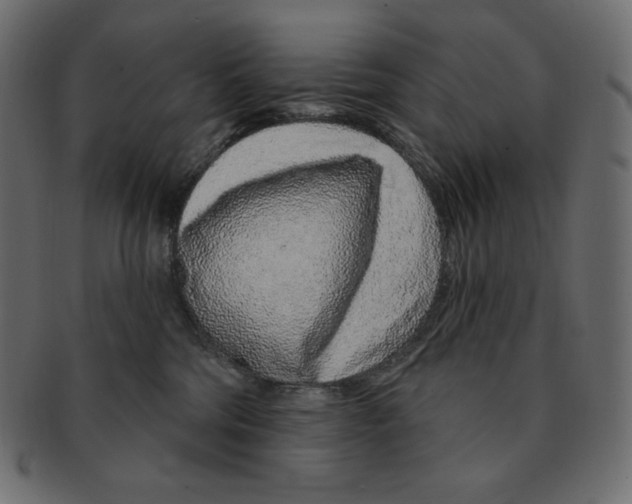 X0000091370330200709071332