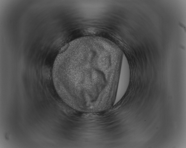 X0000091370331200709071332