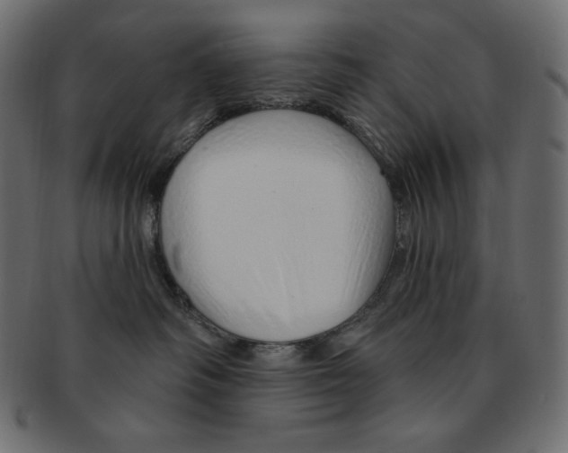 X0000091370334200709071332