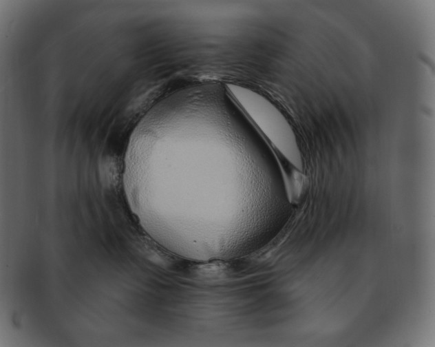 X0000091370335200709071332