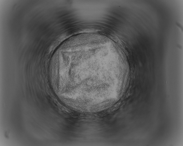 X0000091370337200709071331