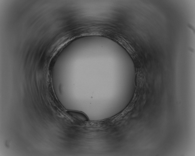 X0000091370338200709071331