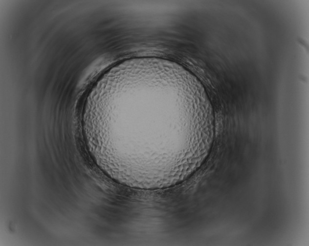 X0000091370339200709071331