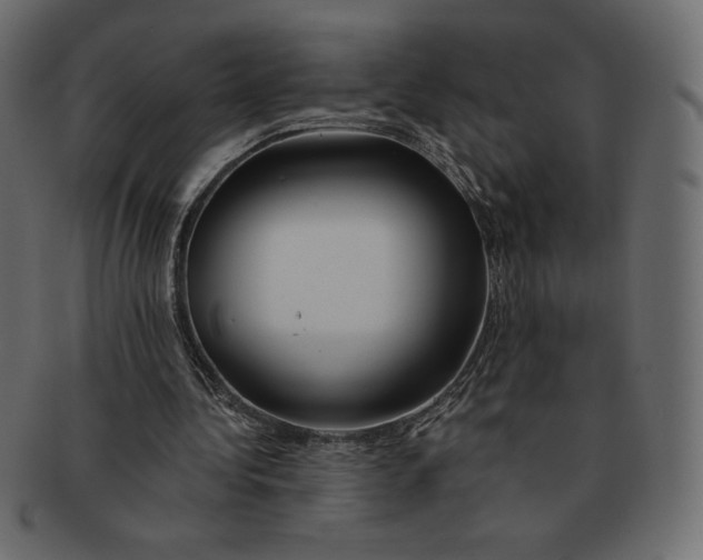 X0000091370340200709071331