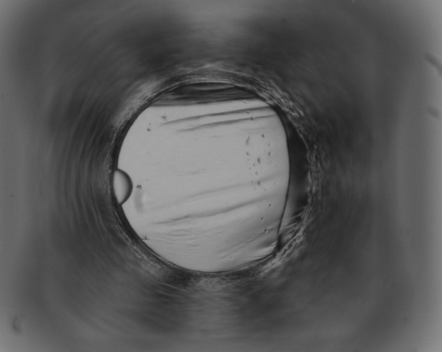 X0000091370341200709071331