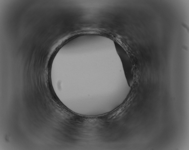 X0000091370342200709071331