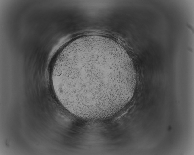 X0000091370343200709071331