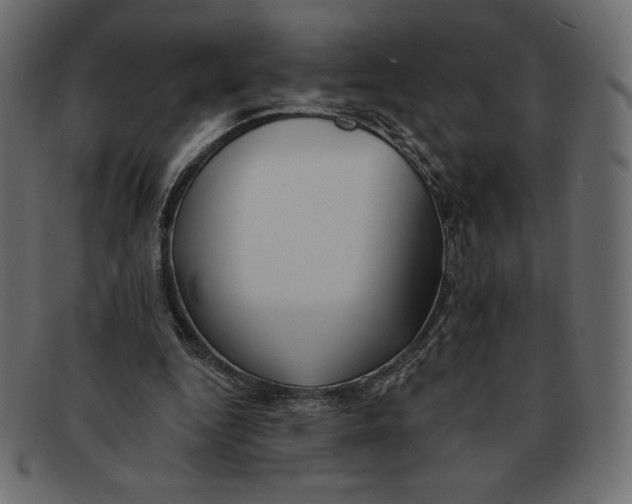 X0000091370344200709071331