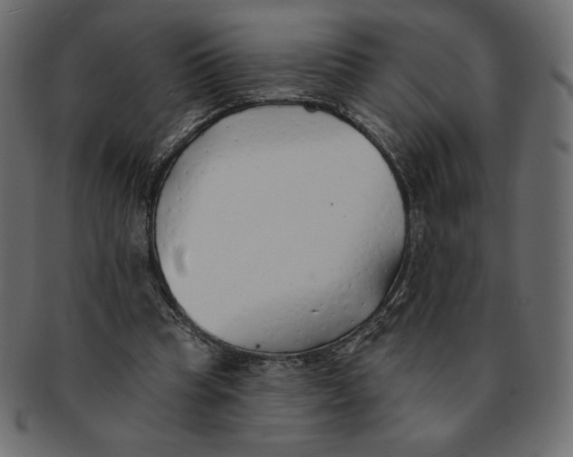 X0000091370345200709071331