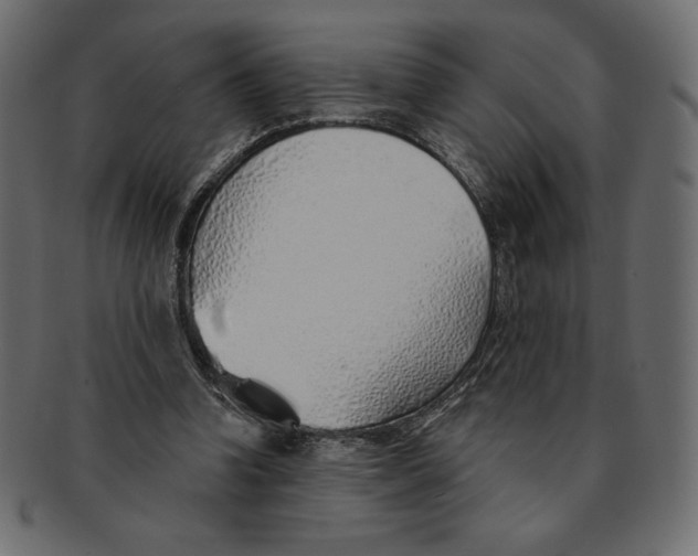 X0000091370346200709071331