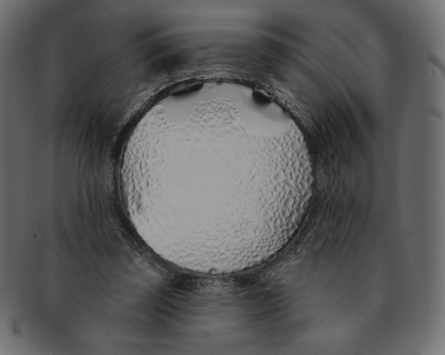 X0000091370347200709071331