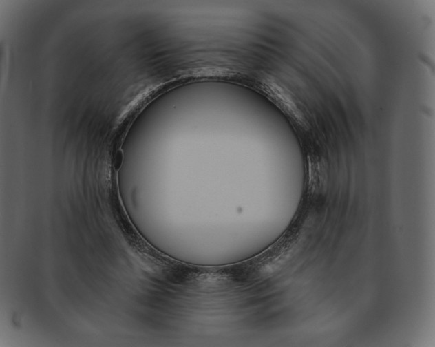 X0000091370348200709071331