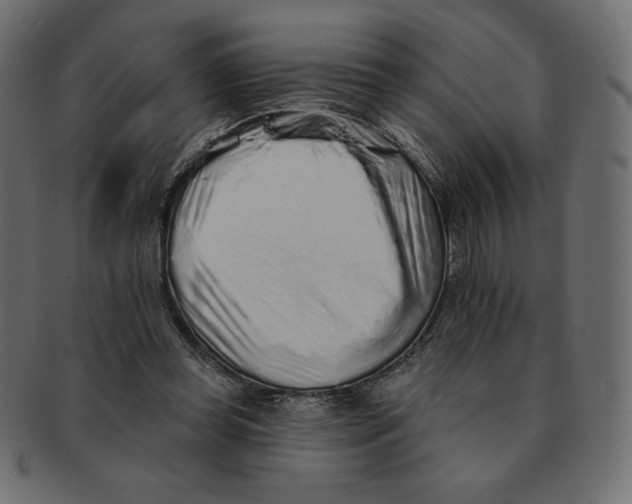 X0000091370349200709071331