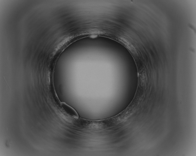 X0000091370350200709071331