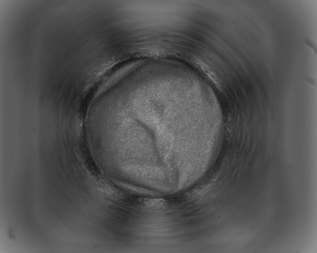 X0000091370355200709071331