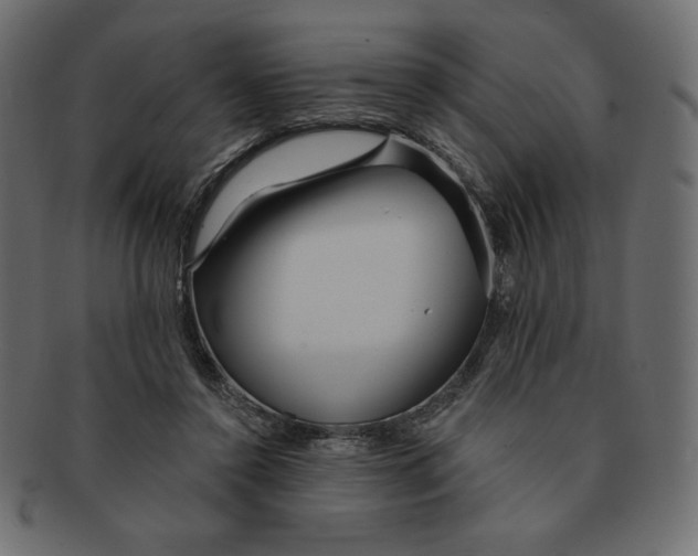 X0000091370356200709071331