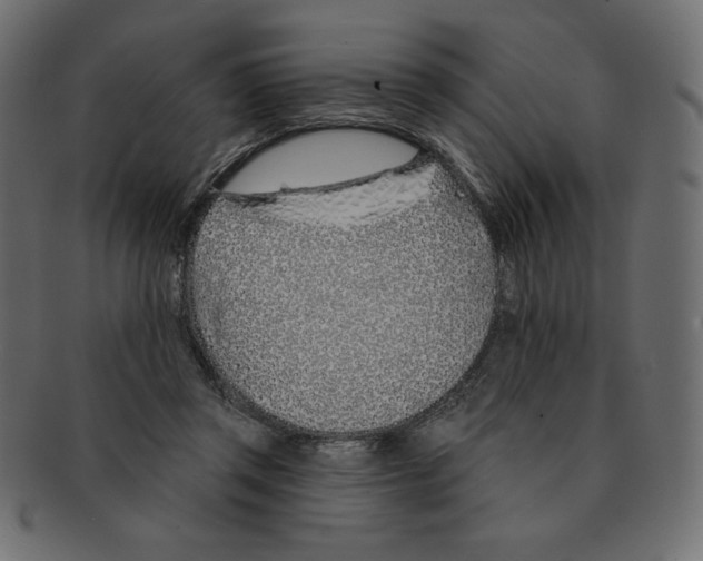 X0000091370357200709071331